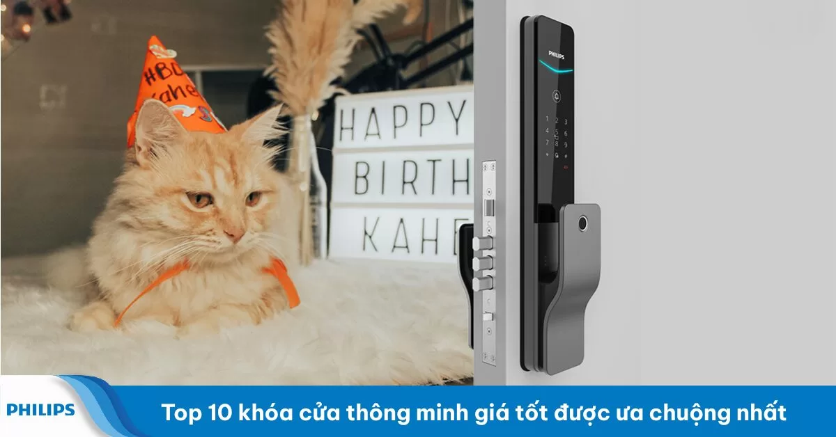 Top 10 khóa điện tử thông minh được ưa chuộng nhất